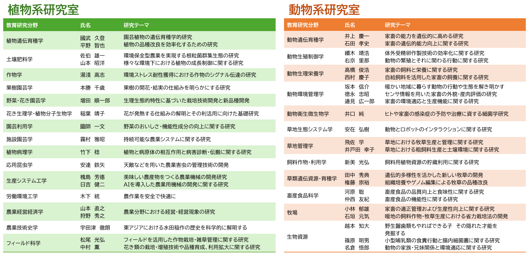 教員一覧