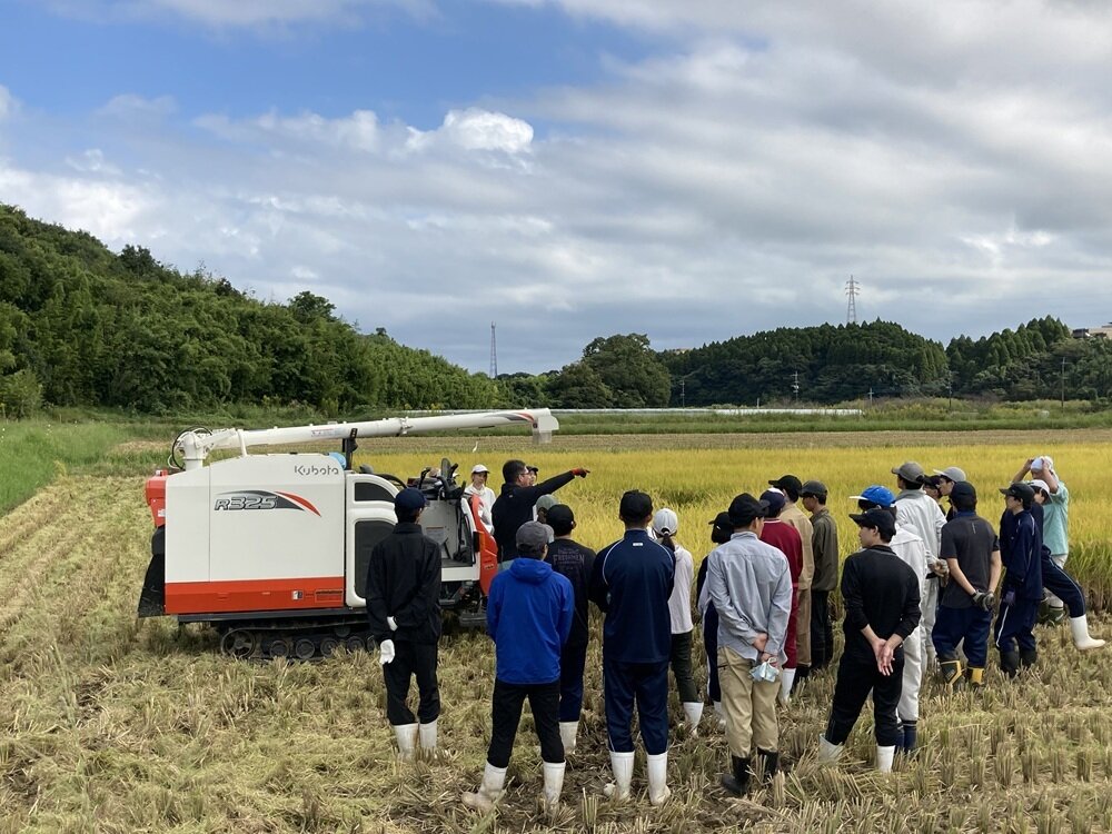 農学部生の水田実習風景