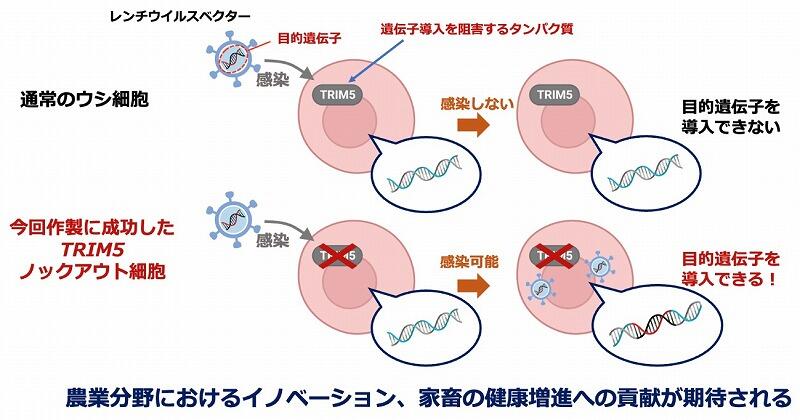 s-挿入図.jpg