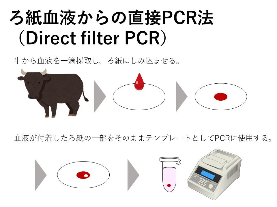 PCR_J.jpg