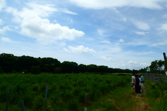 20180911blog