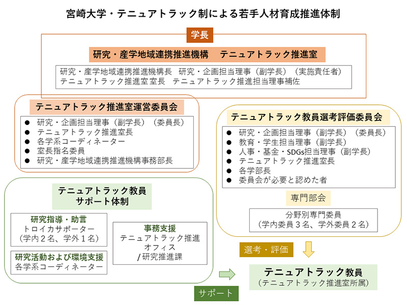 画像:宮崎大学・テニュアトラック制による若手人材育成推進体制図