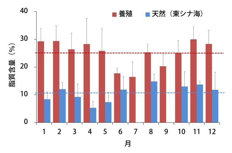 nagano7.jpg