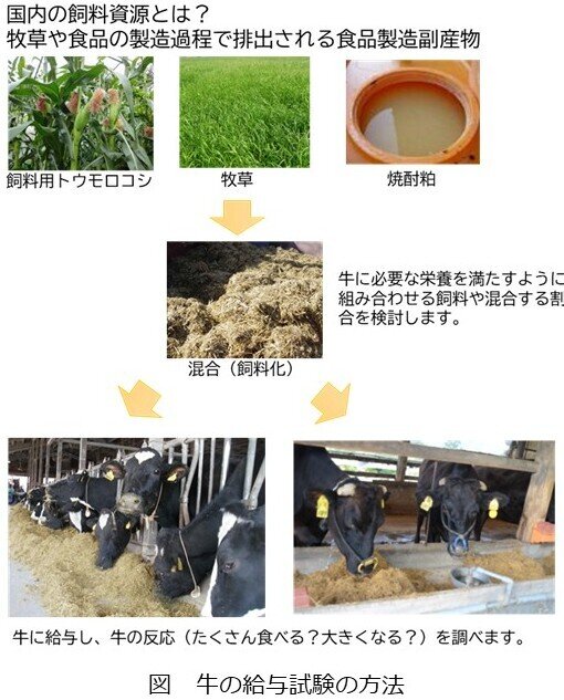 トリミング スライド3.jpg