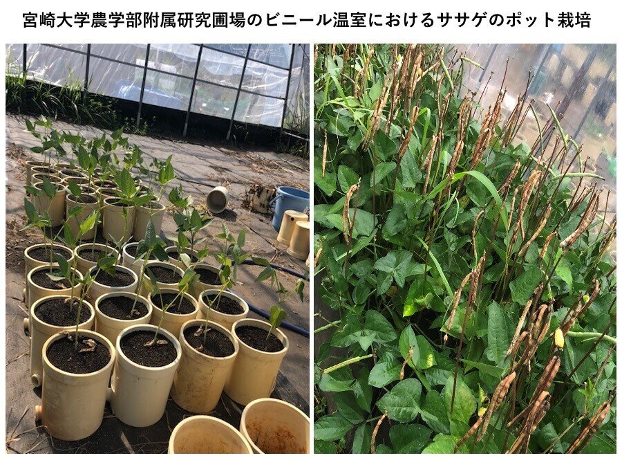 写真２.jpg