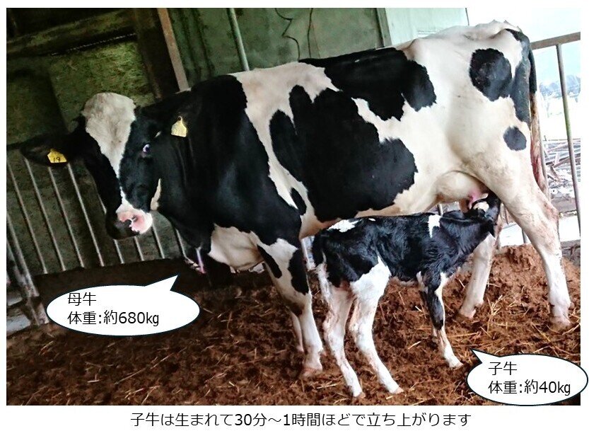 トリミング スライド1.jpg