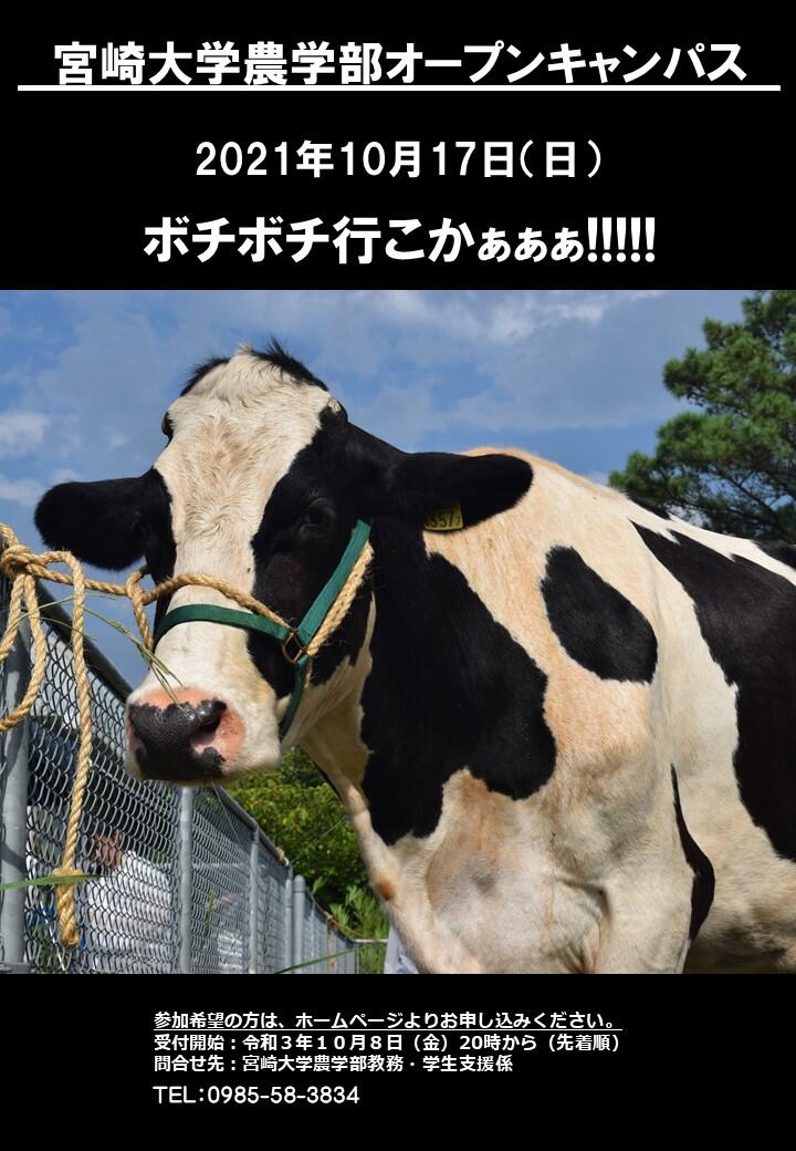 挿入画像.jpg