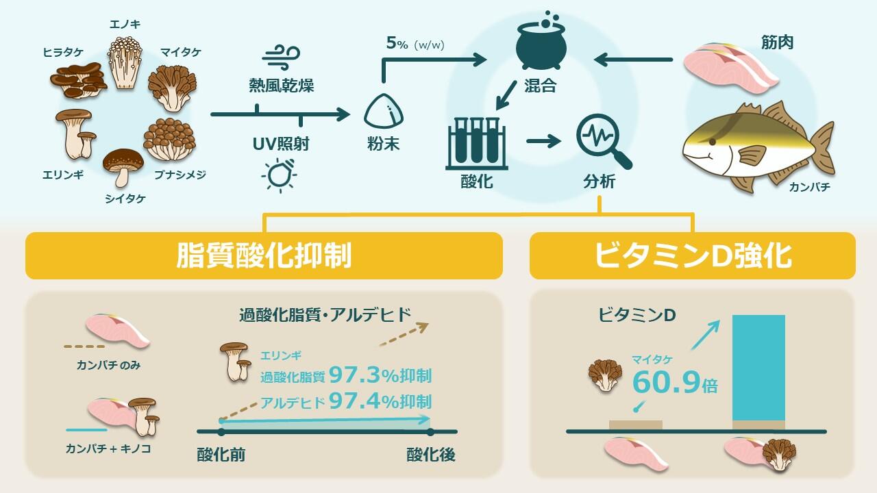 研究紹介.jpg