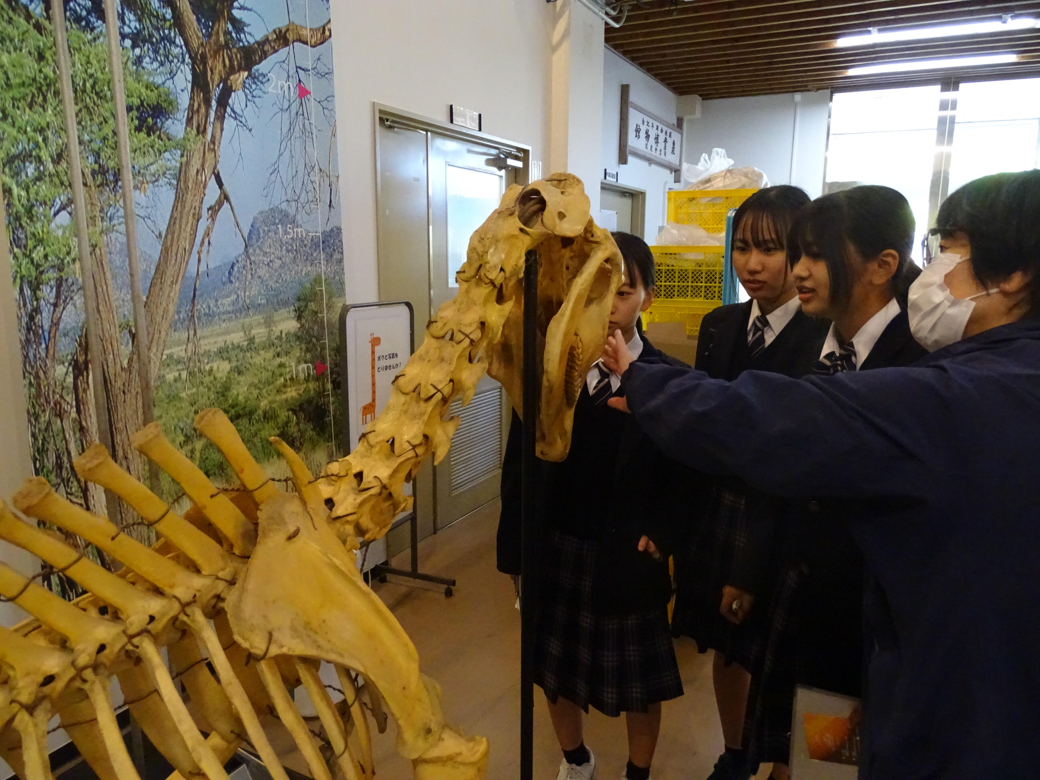 DSC08923.JPG
