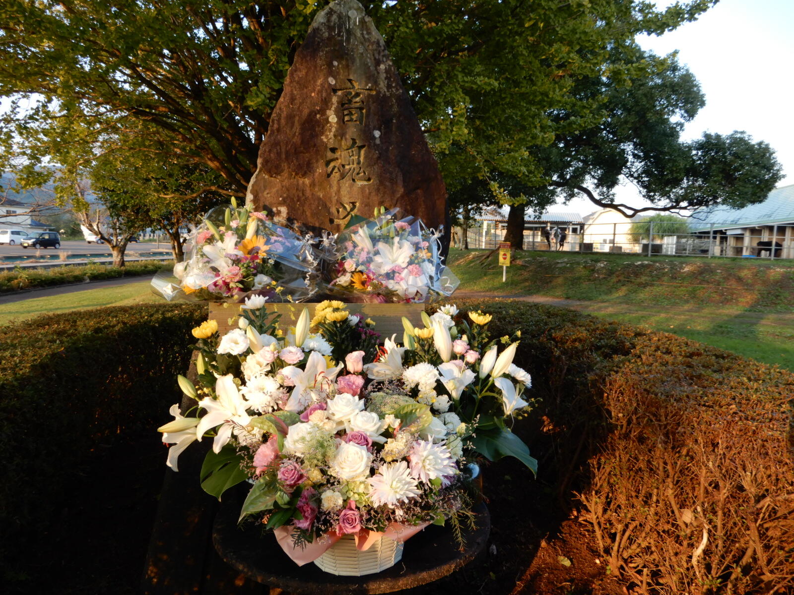 DSCN5995.JPG