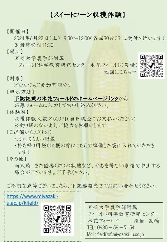 スイートコーン２.jpg