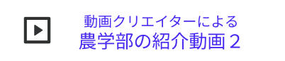 動画クリエイターによる農学部の紹介動画2