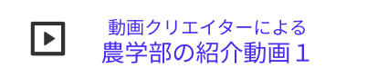 動画クリエイターによる農学部の紹介動画1