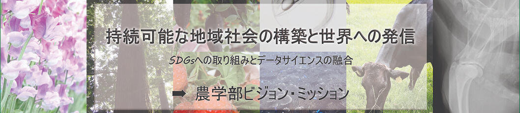 持続可能な地域社会の構築と世界への発信
