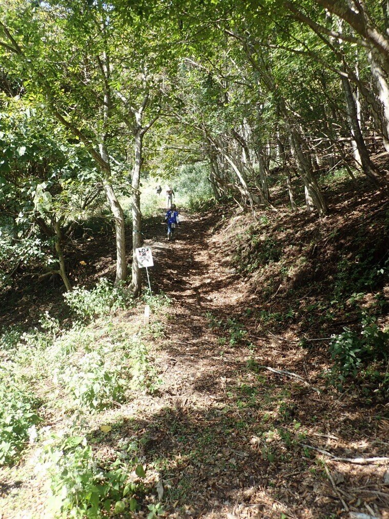 PA157358.jpg