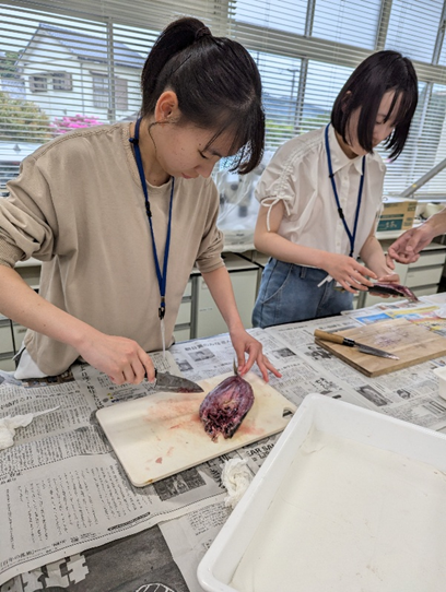 写真２.png