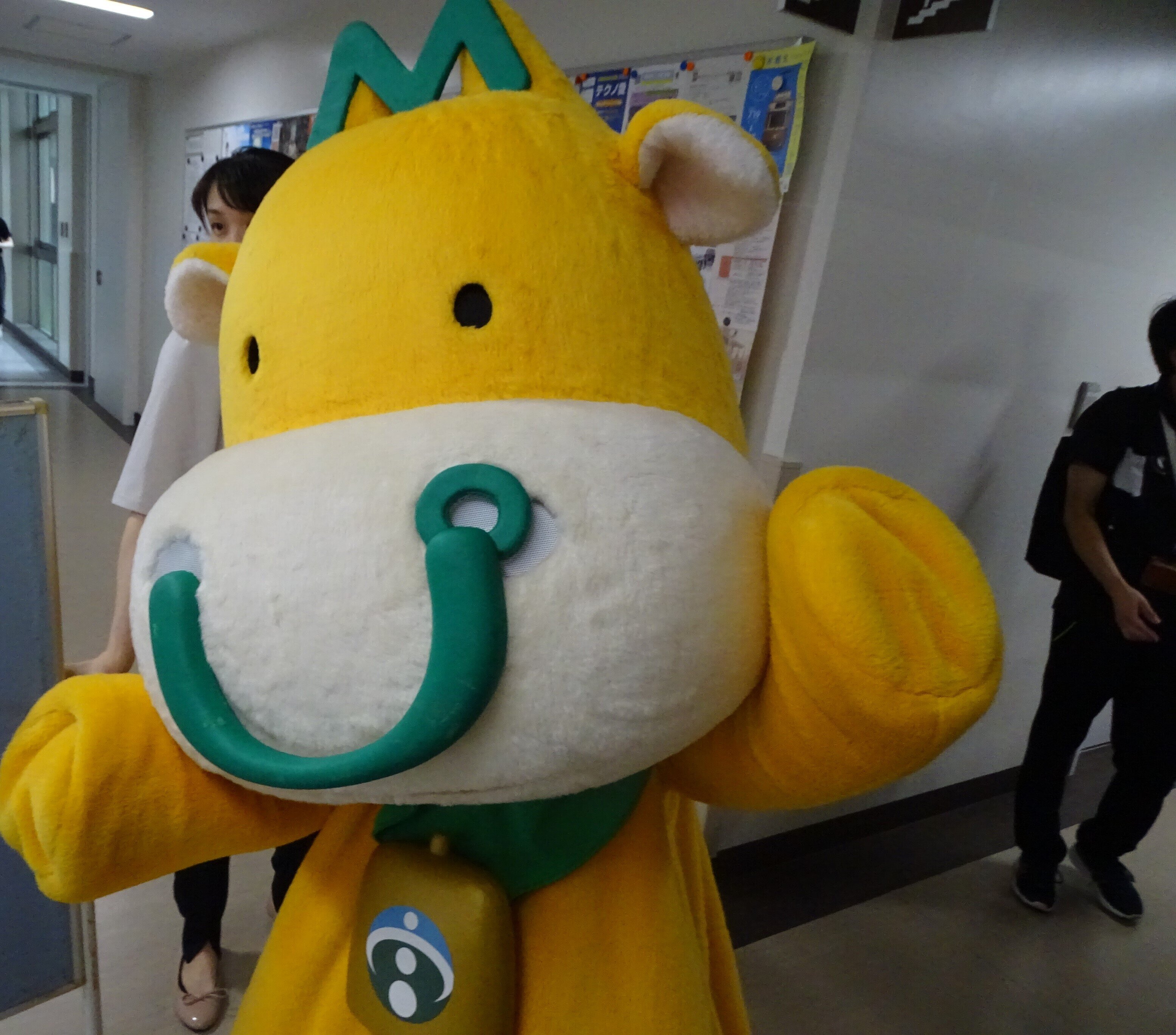 DSC00440.JPG