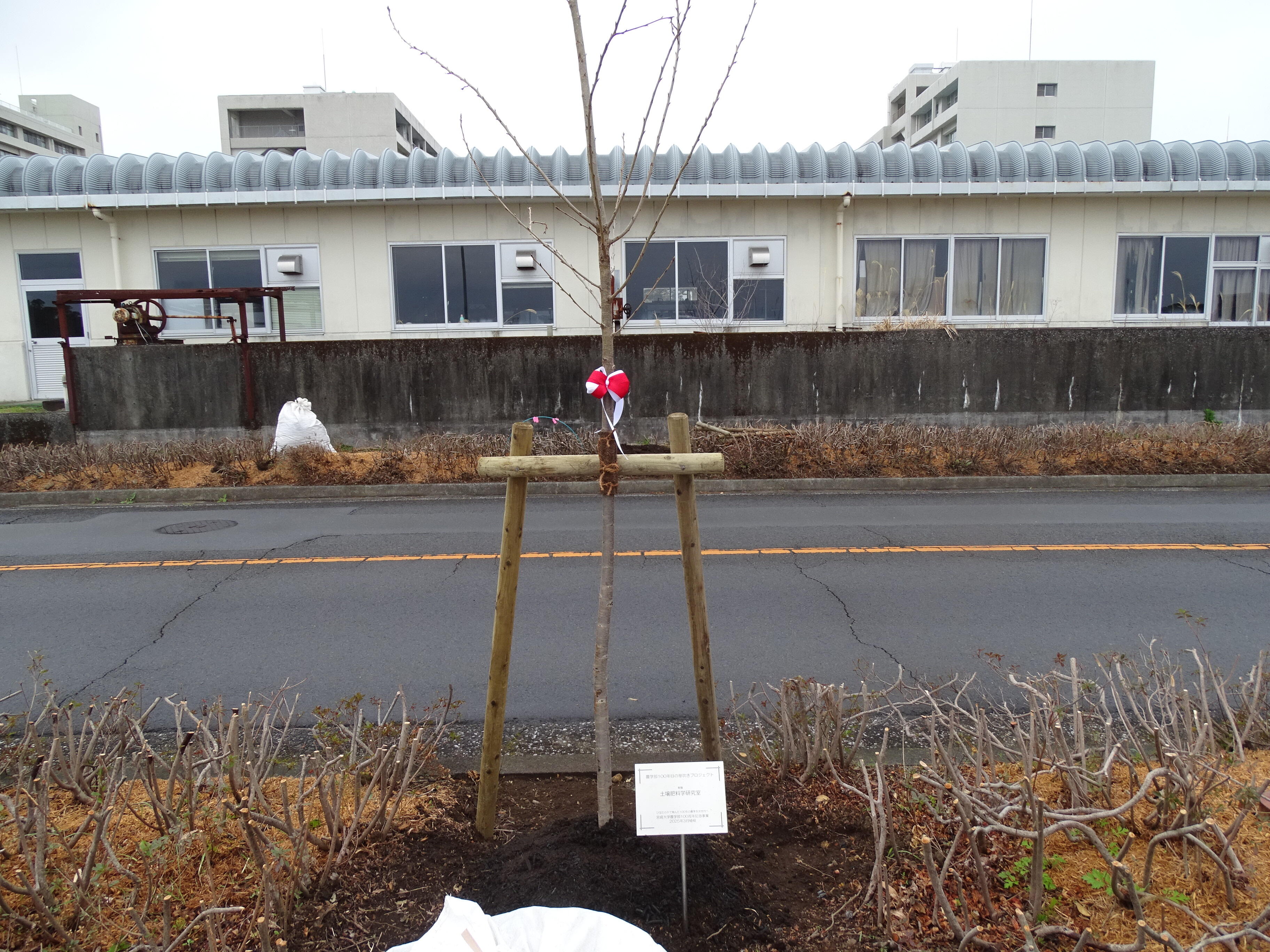 DSC09390.JPG