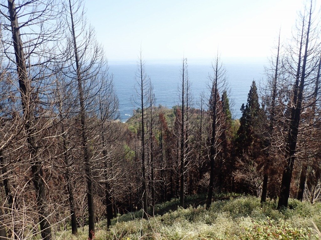 PA157354.jpg