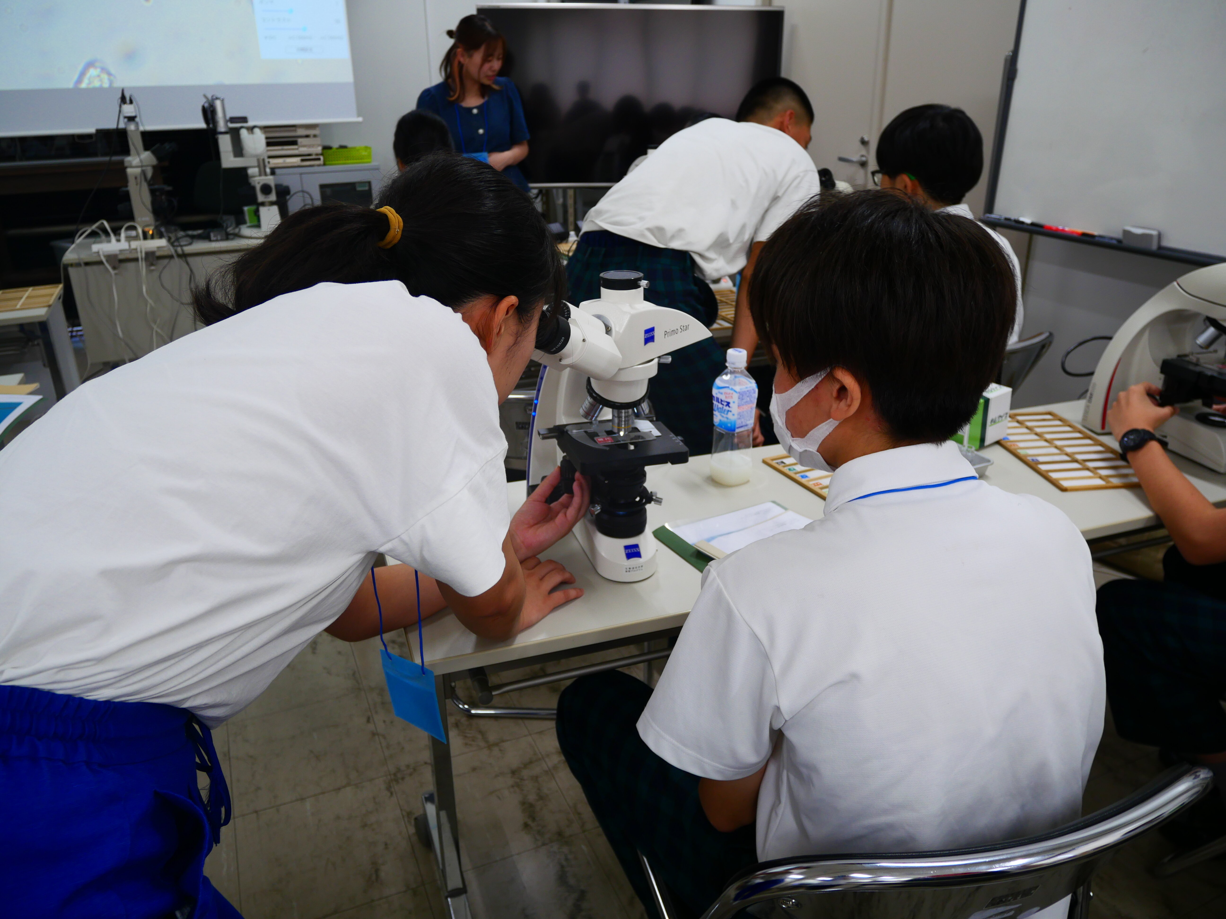 08顕微鏡での観察01.JPG