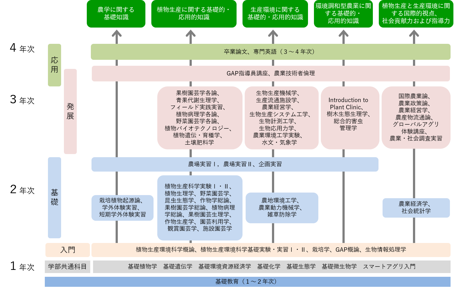 カリキュラム