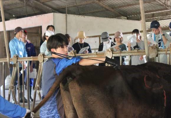 お知らせ｜宮崎大学 農学部 畜産草地科学科