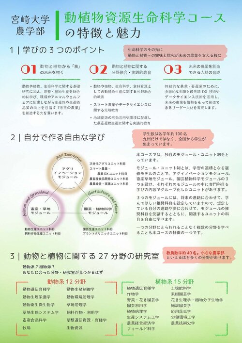 完成版春のオープンキャンパスーフライヤー (1)_ページ_2.jpgのサムネイル画像