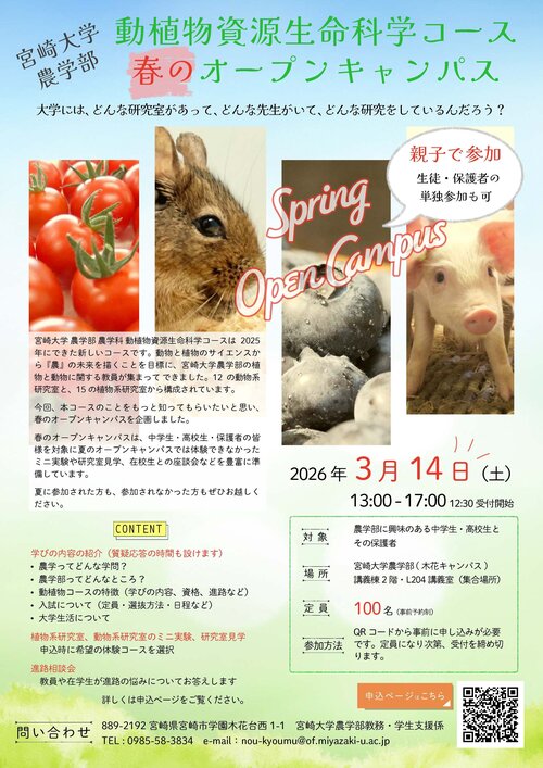 完成版春のオープンキャンパスーフライヤー (1)_ページ_1.jpgのサムネイル画像