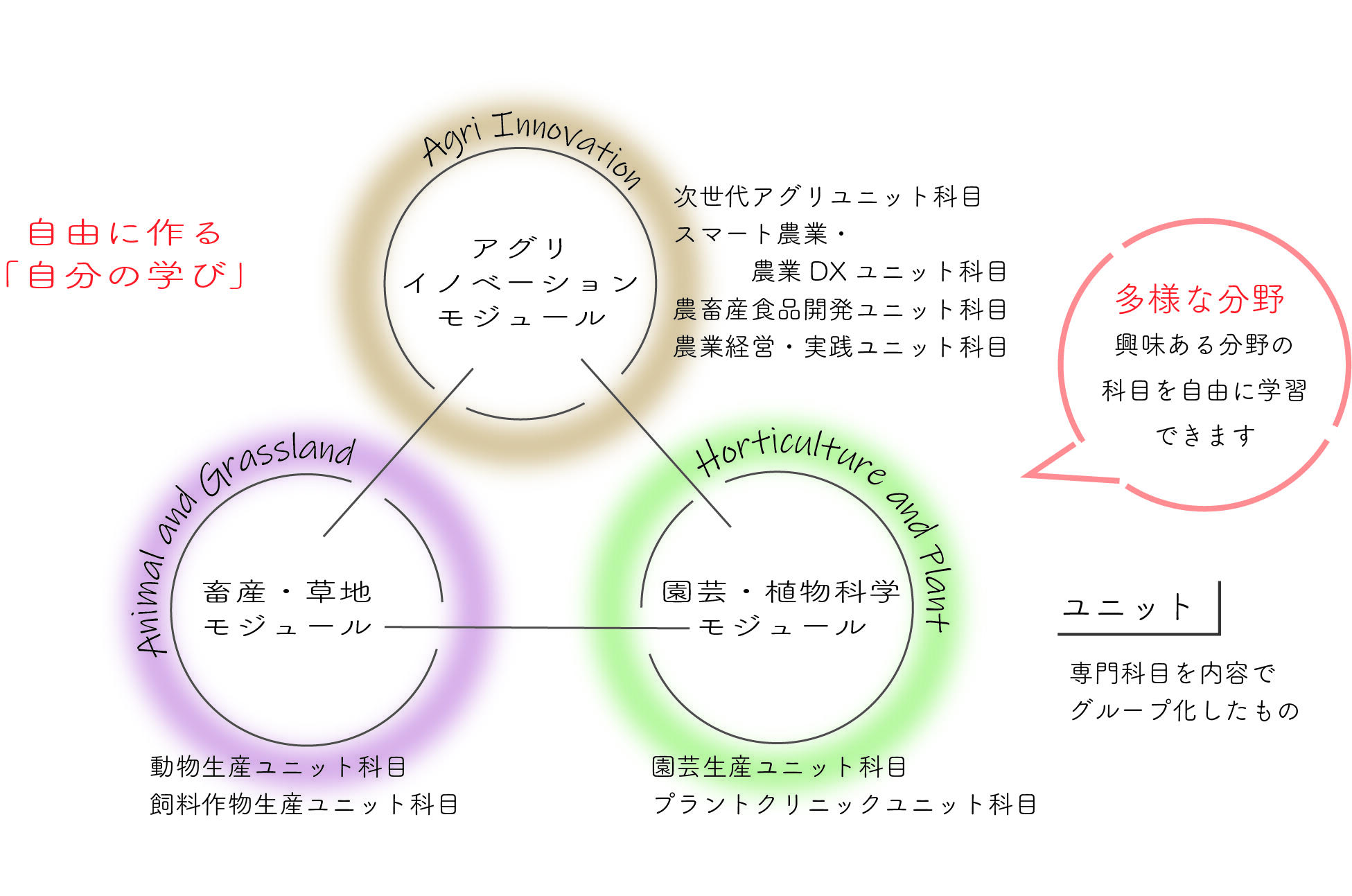 カリキュラムイメージの図