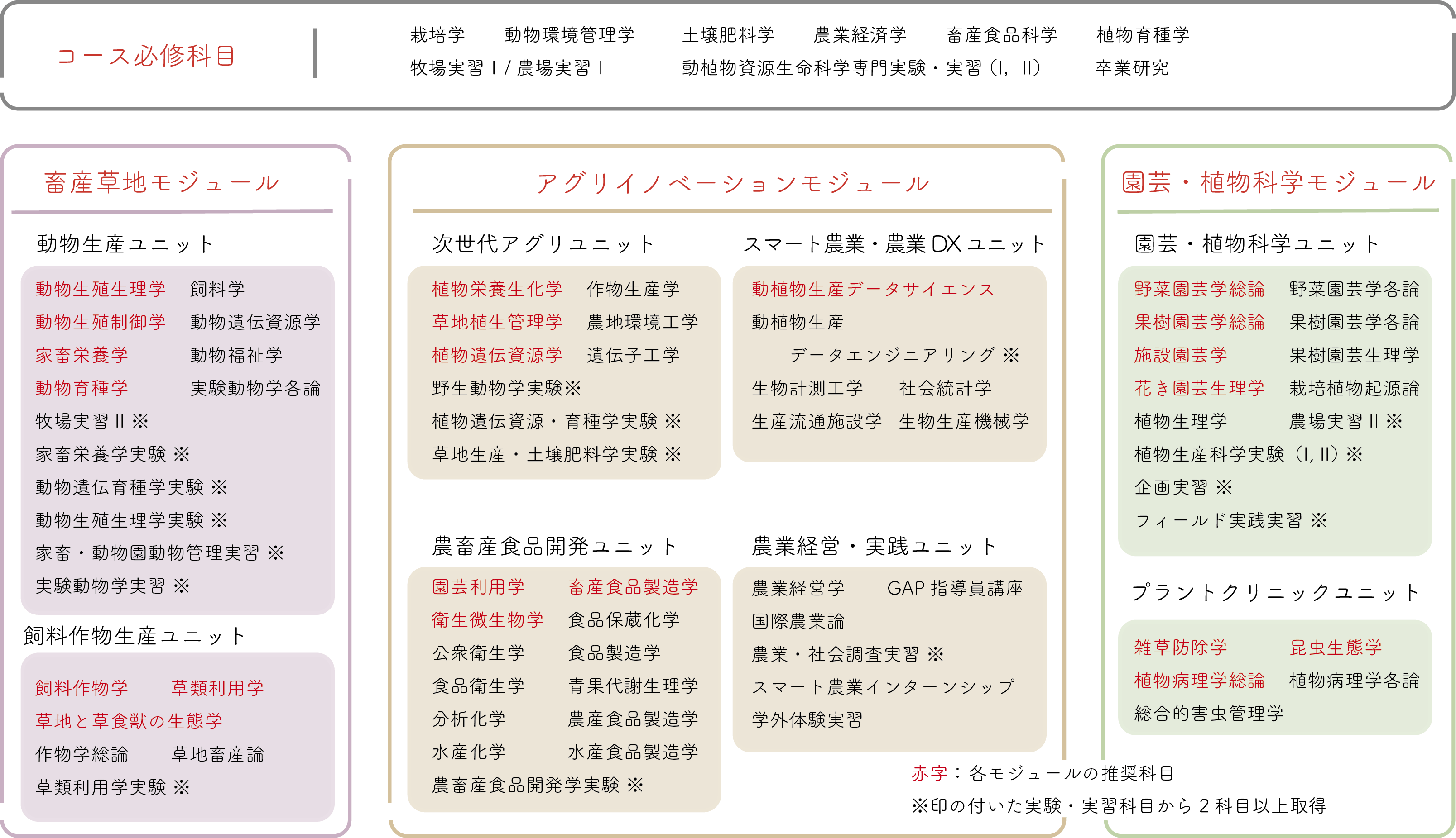 カリキュラム表