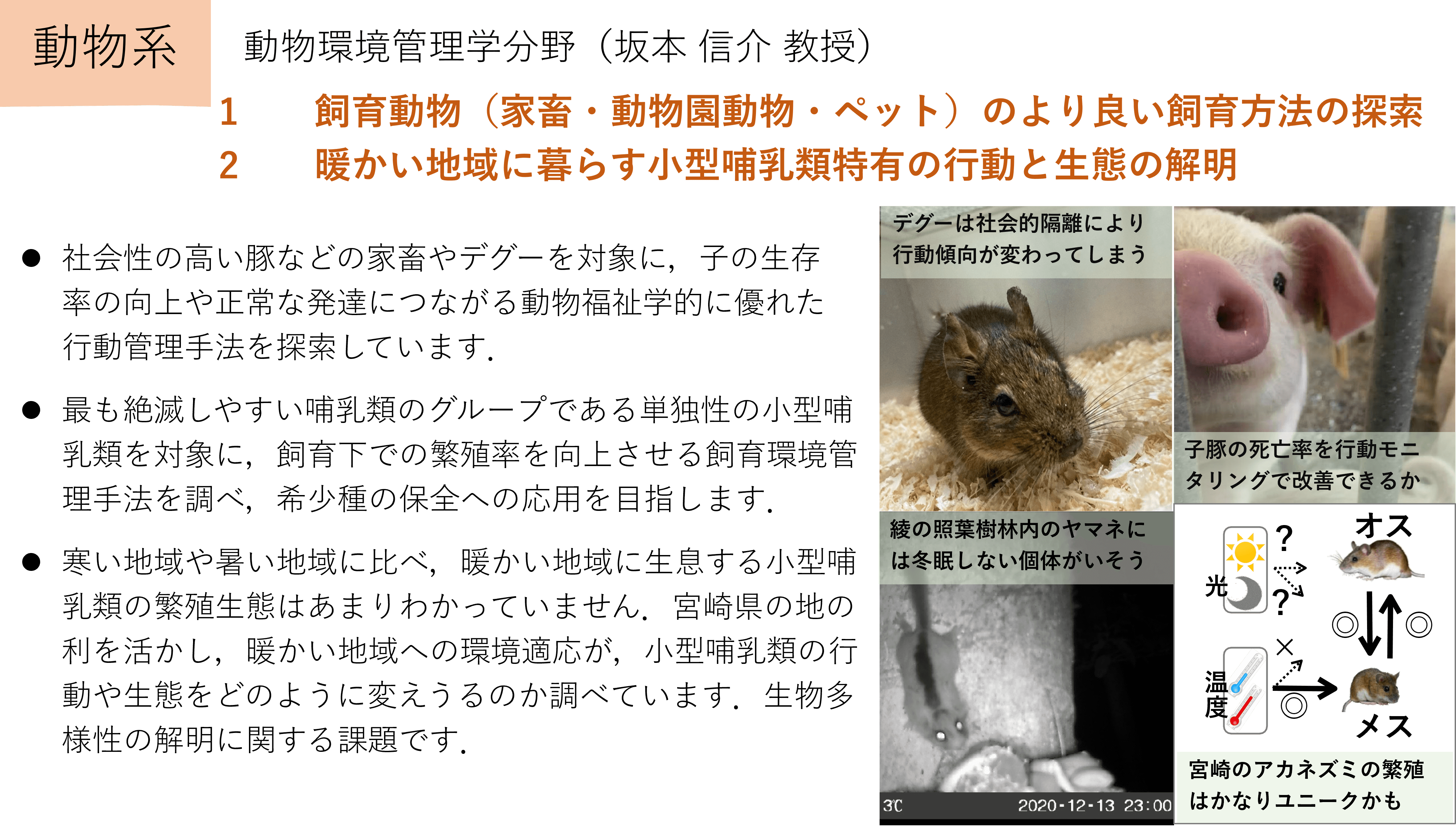 飼育動物（家畜・動物園動物・ペット）のより良い飼育方法の探索