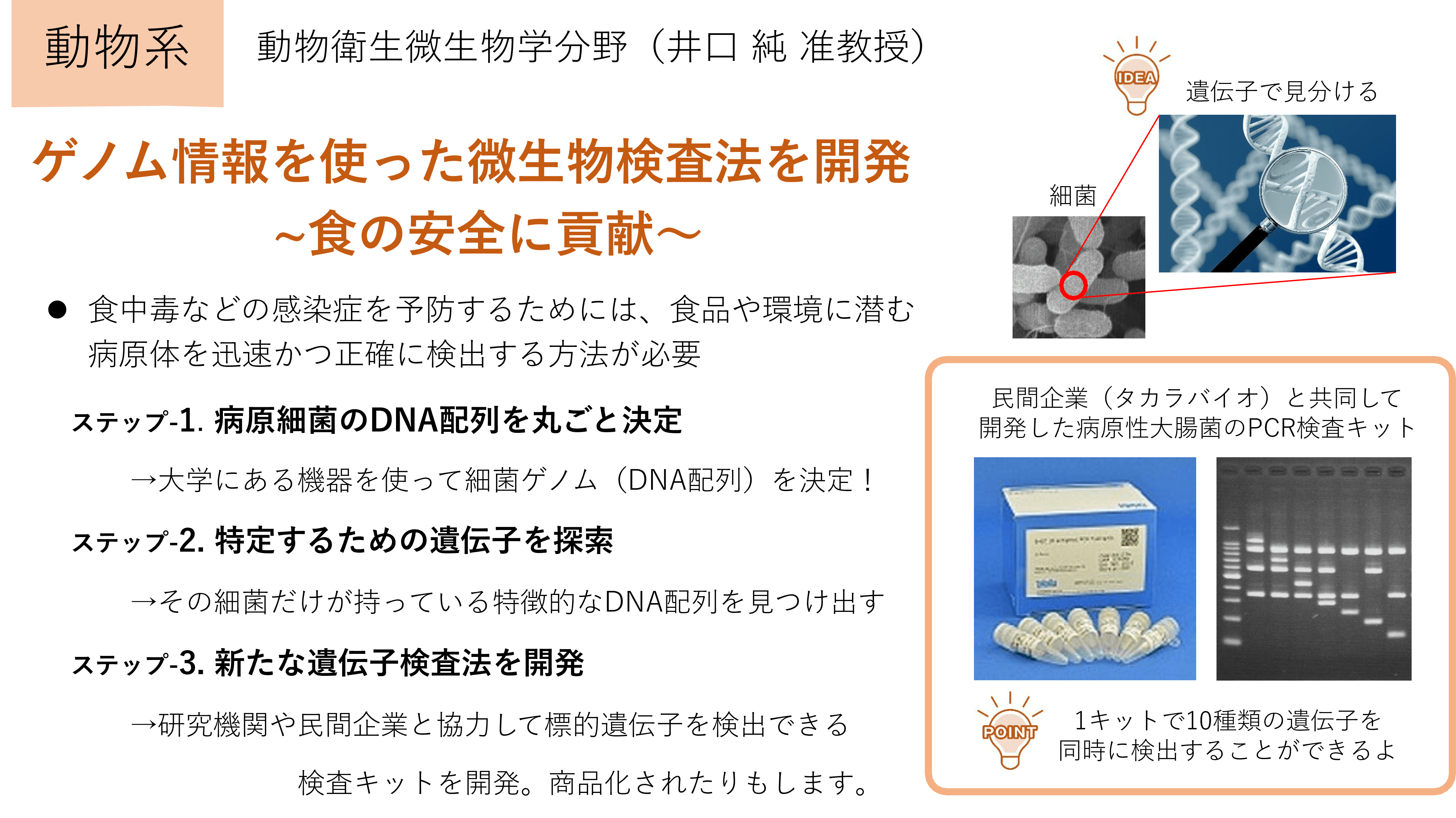 ゲノム情報を使った微生物検査法を開発
