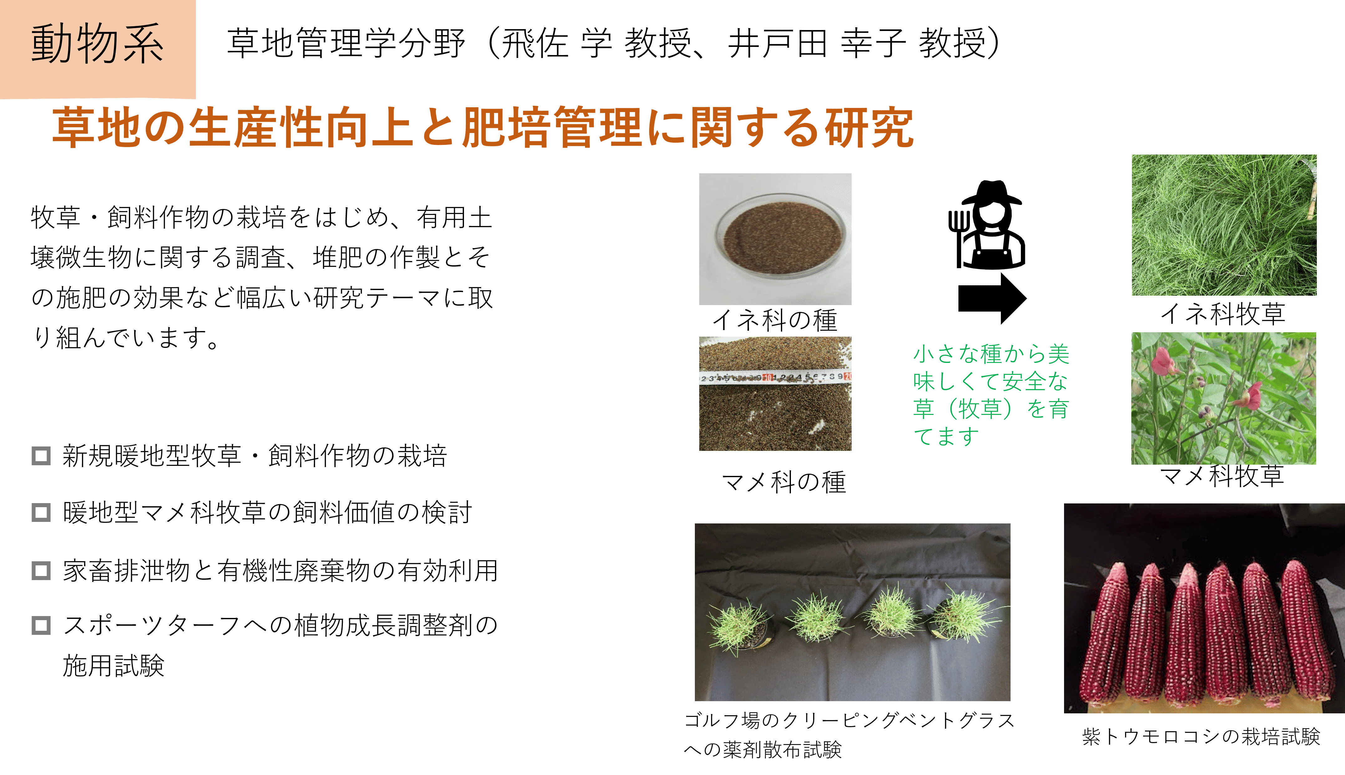 草地の生産性向上と肥培管理に関する研究