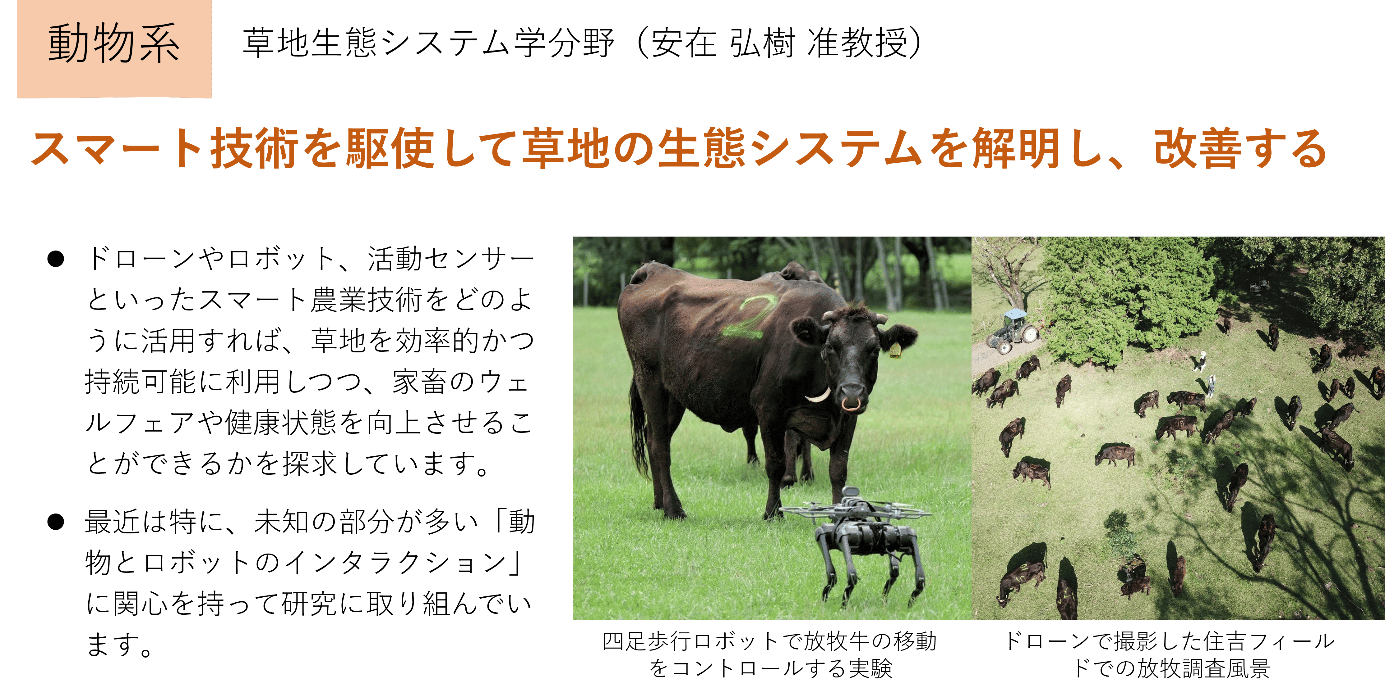 スマート技術を駆使して草地の生態システムを解明し、改善する