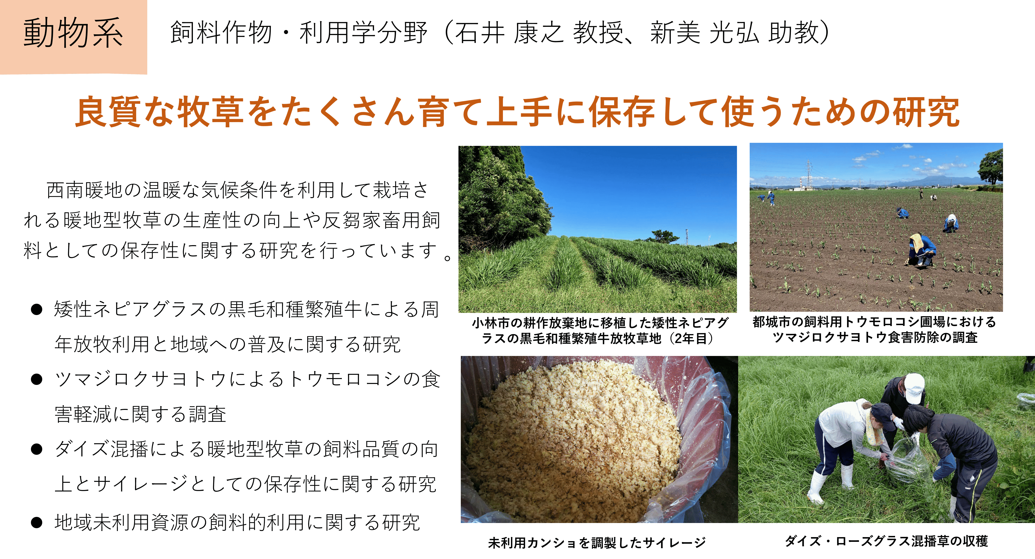 良質な牧草をたくさん育て上手に保存して使うための研究