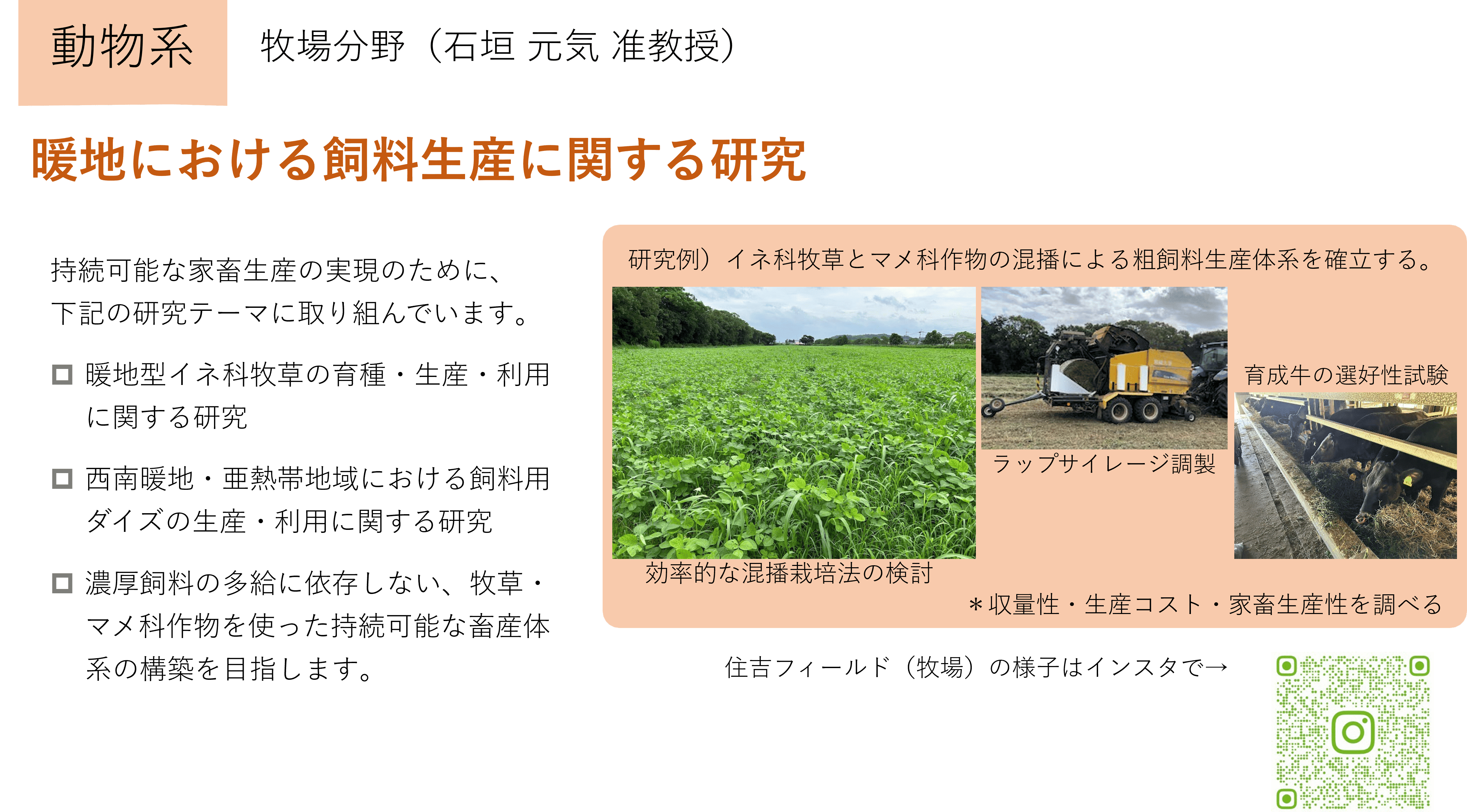 暖地における飼料生産に関する研究