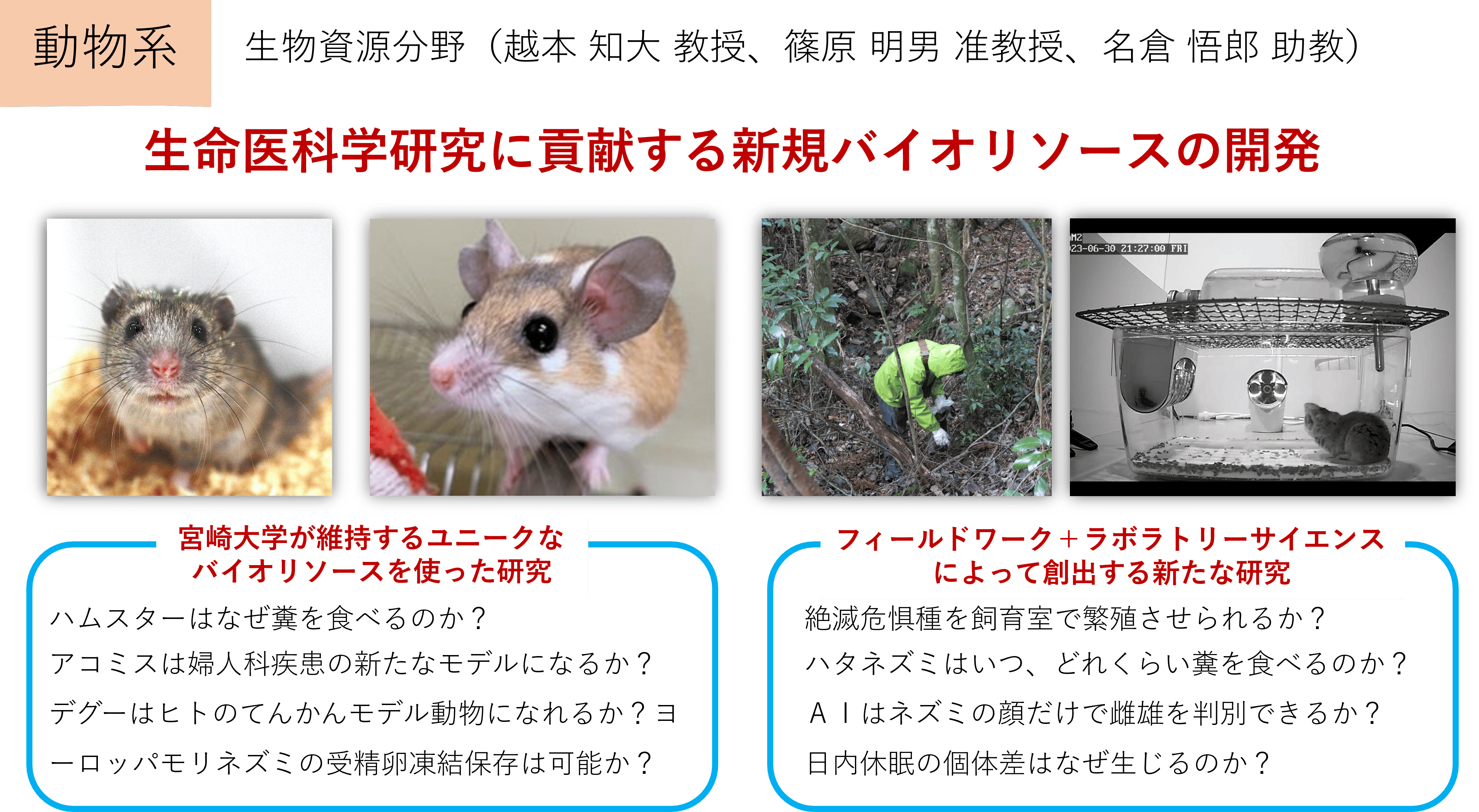 生命医科学研究に貢献する新規バイオリソースの開発