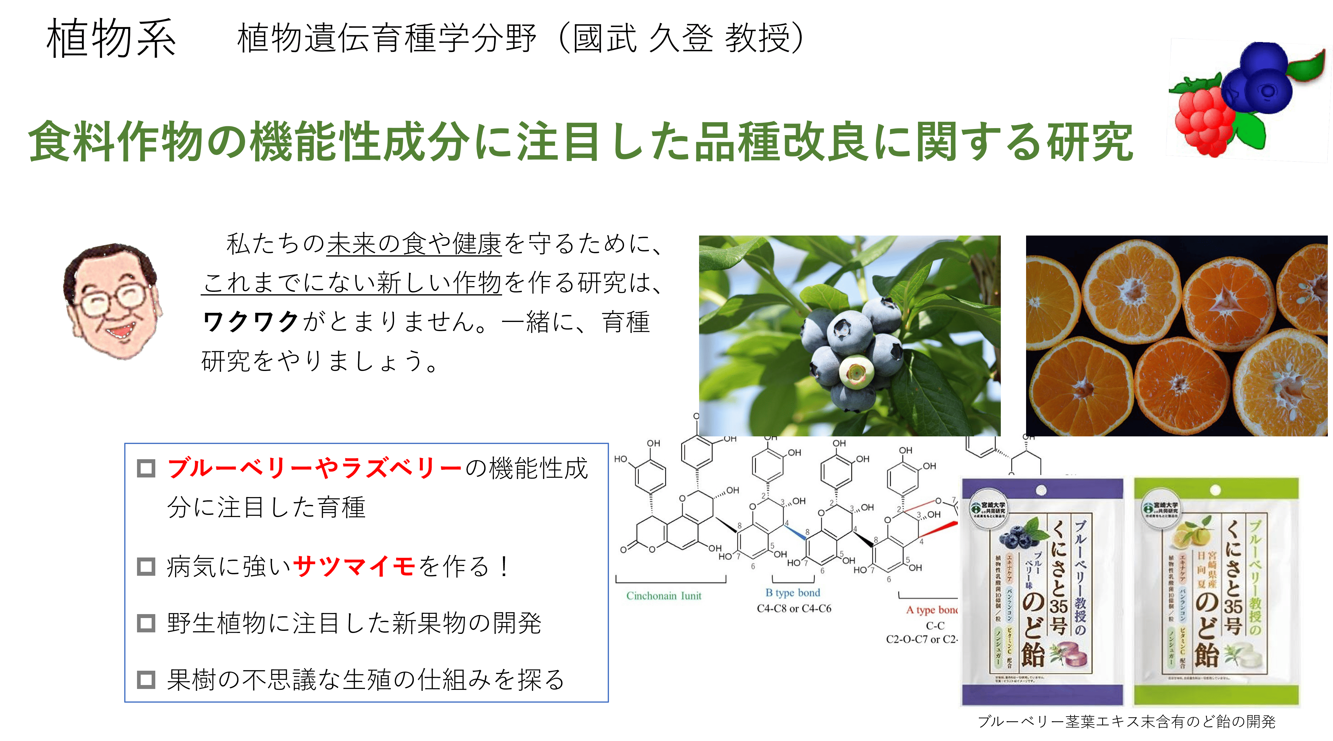 食用作物の品種改良に関する研究についての詳細