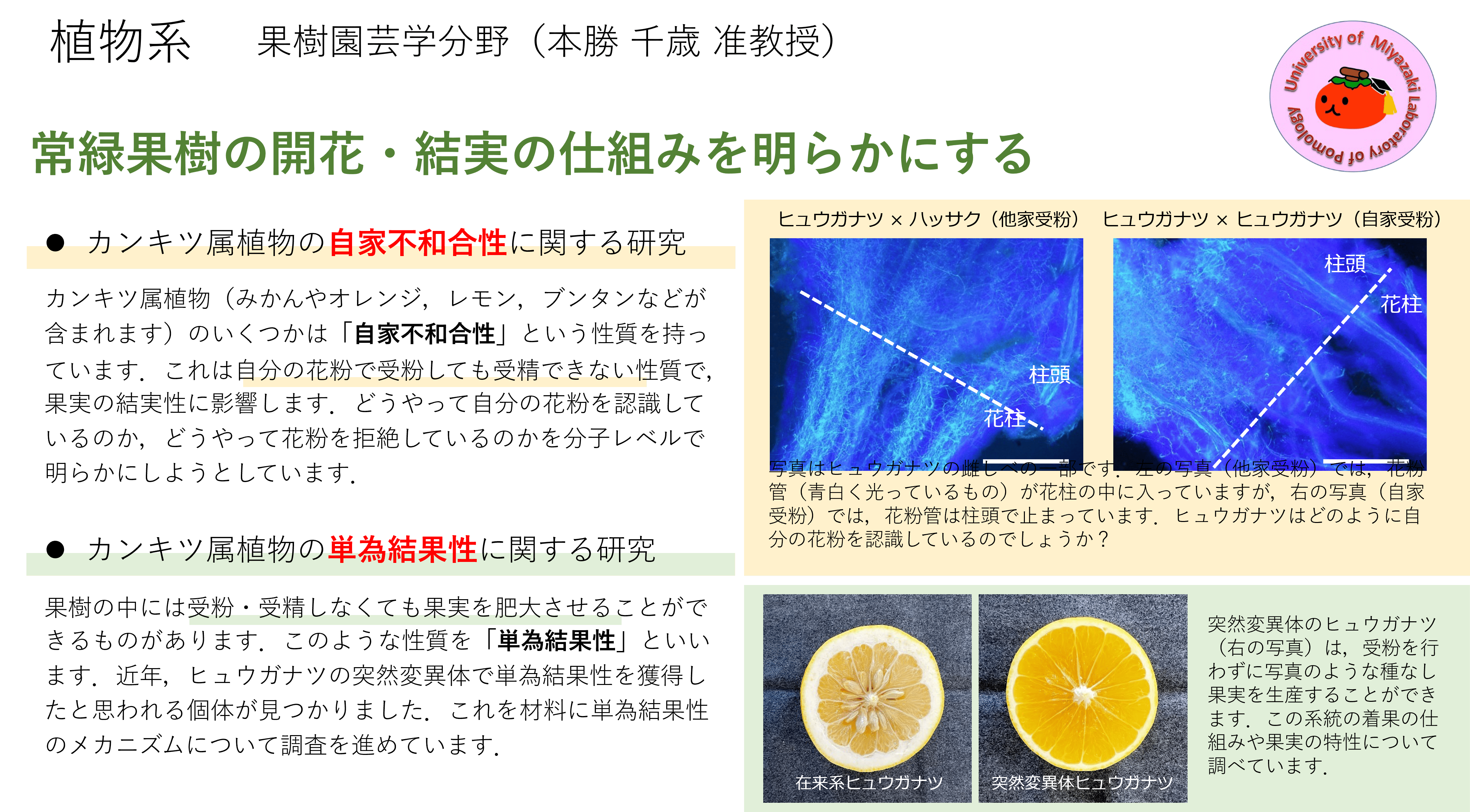 果樹園芸学についての詳細