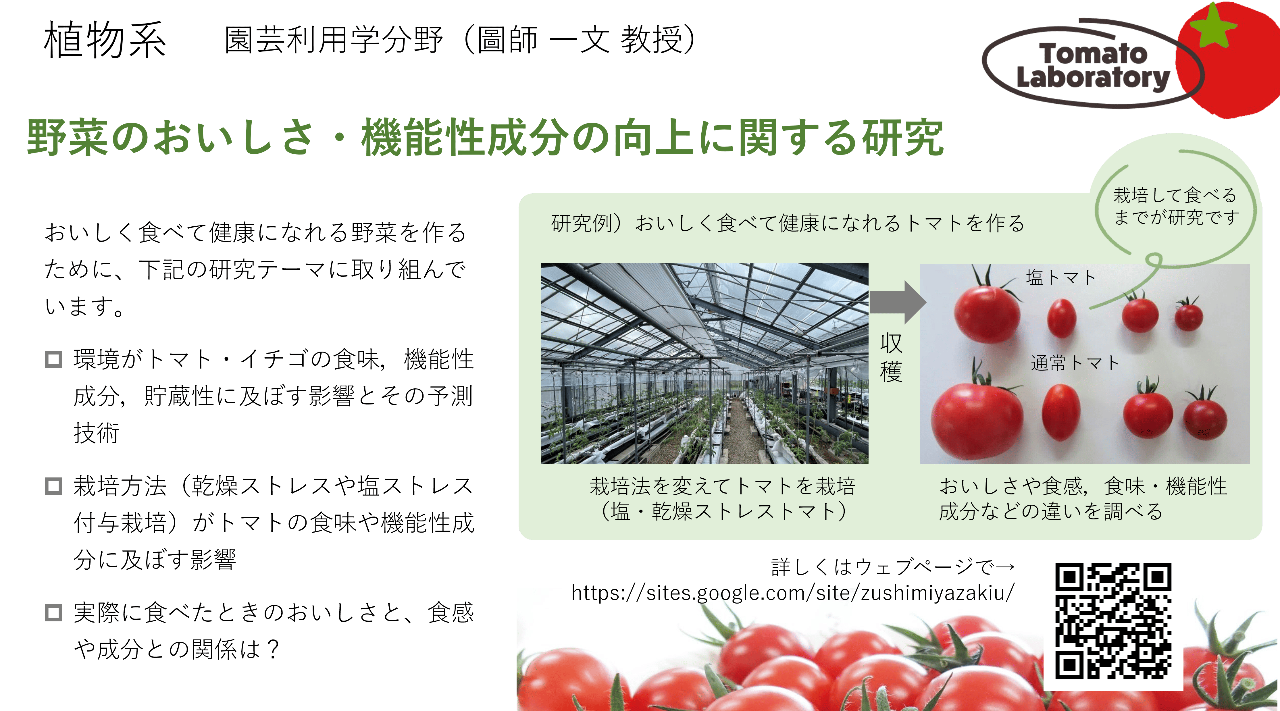 野菜のおいしさ・機能性成分の向上に関する研究についての詳細"