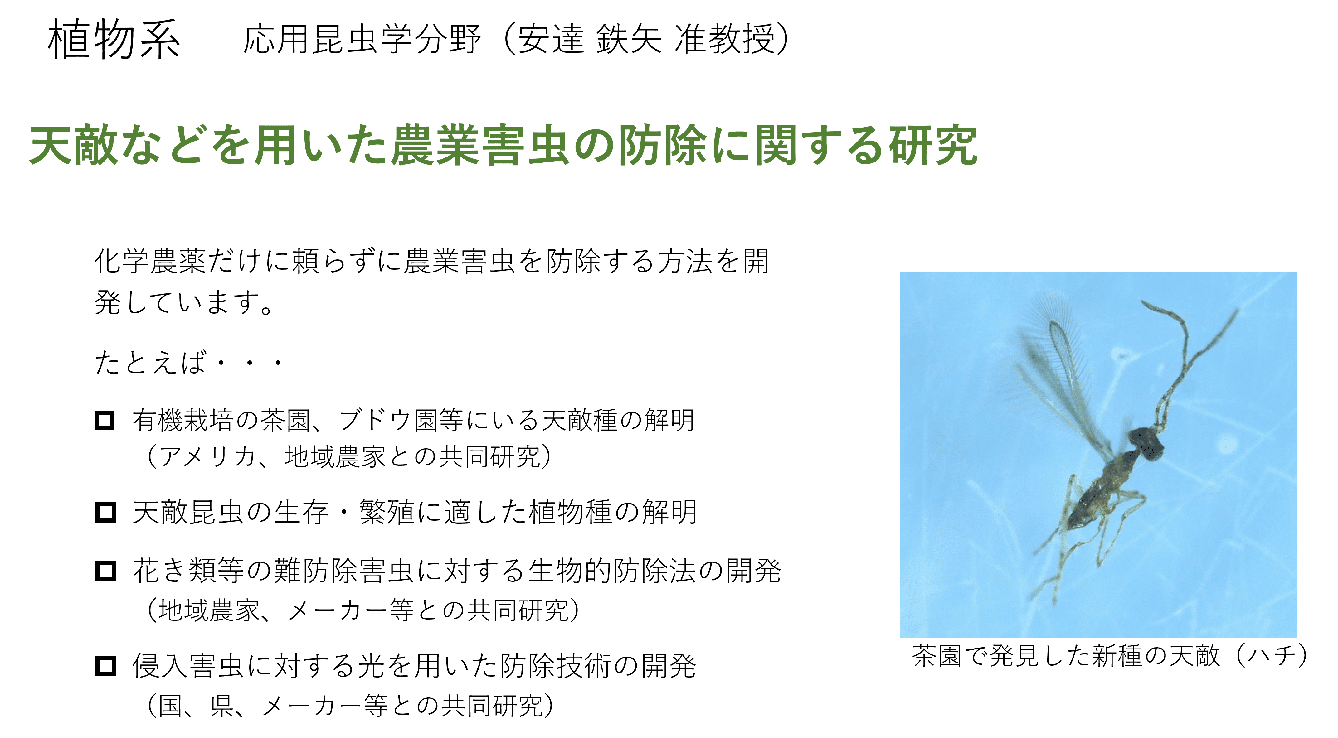 生物的防除を基幹とした総合型害虫管理に関する研究についての詳細