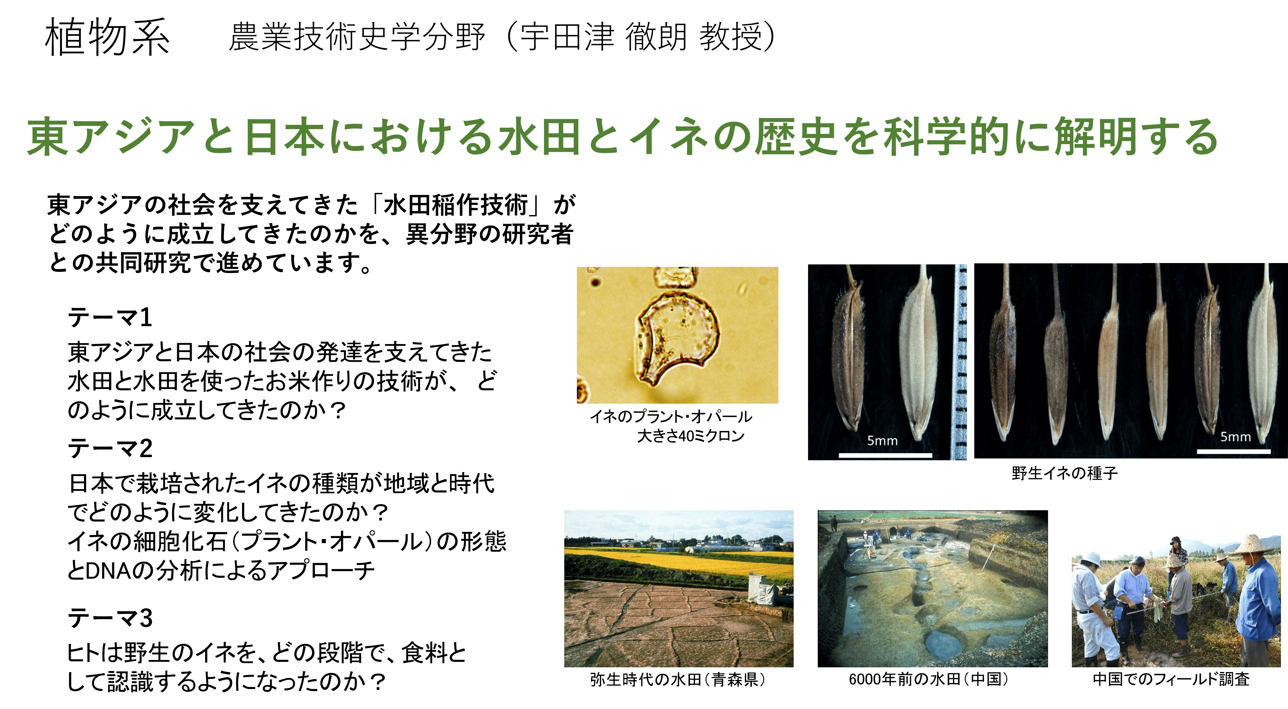 東アジアにおける環境と共生した水田稲作技術の変遷に関する研究についての詳細
