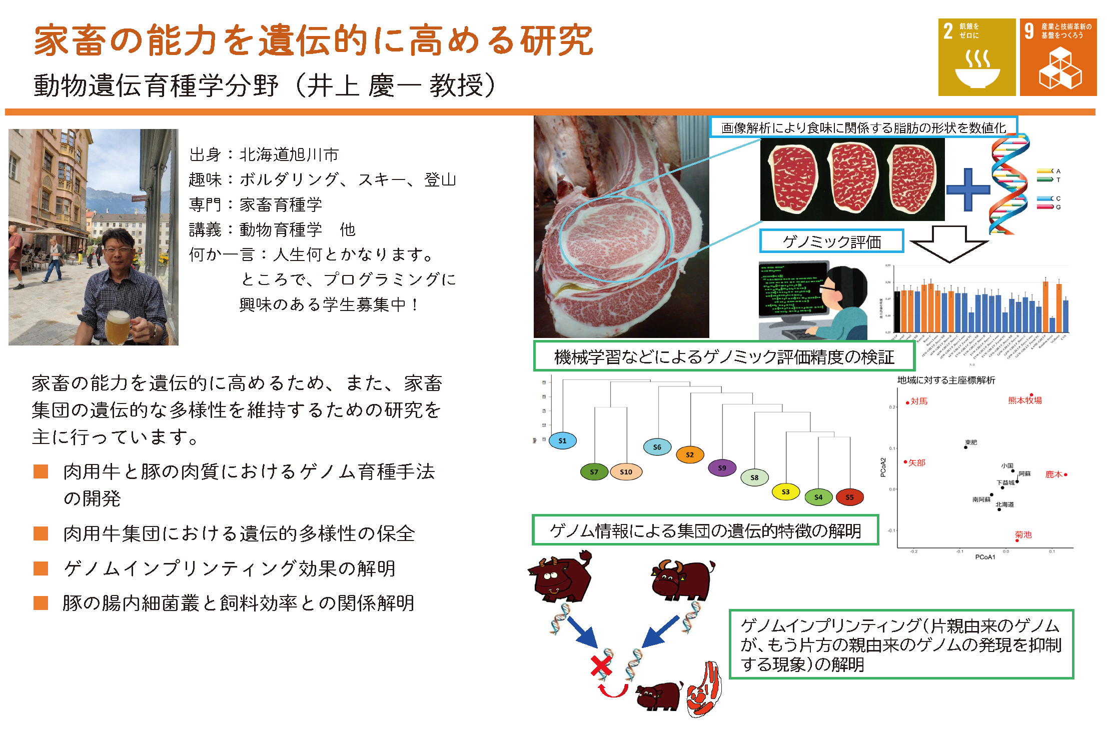 家畜の生産性を遺伝的に高めていく研究