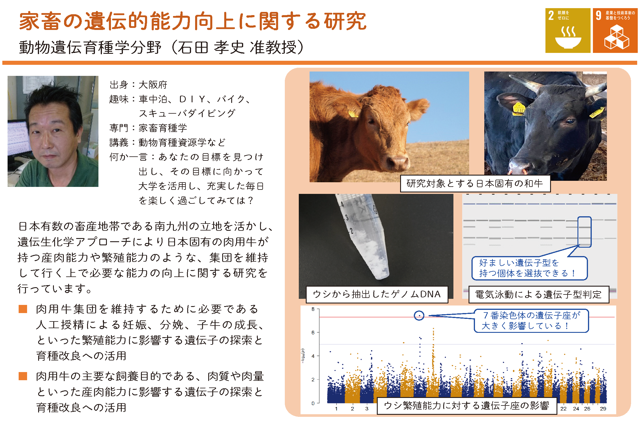 家畜の遺伝的能力向上に関する研究