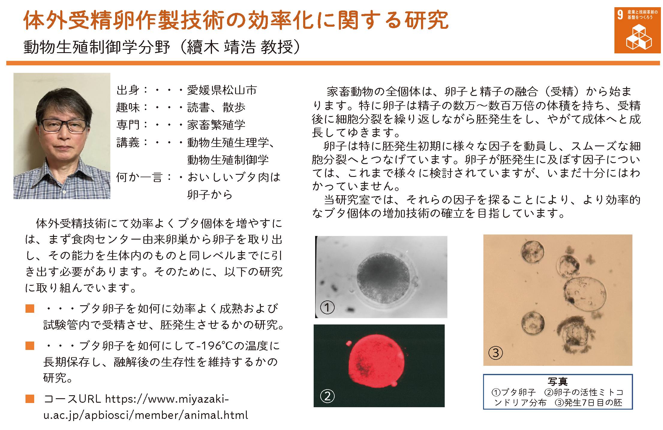 体外受精卵作製技術の効率化に関する研究