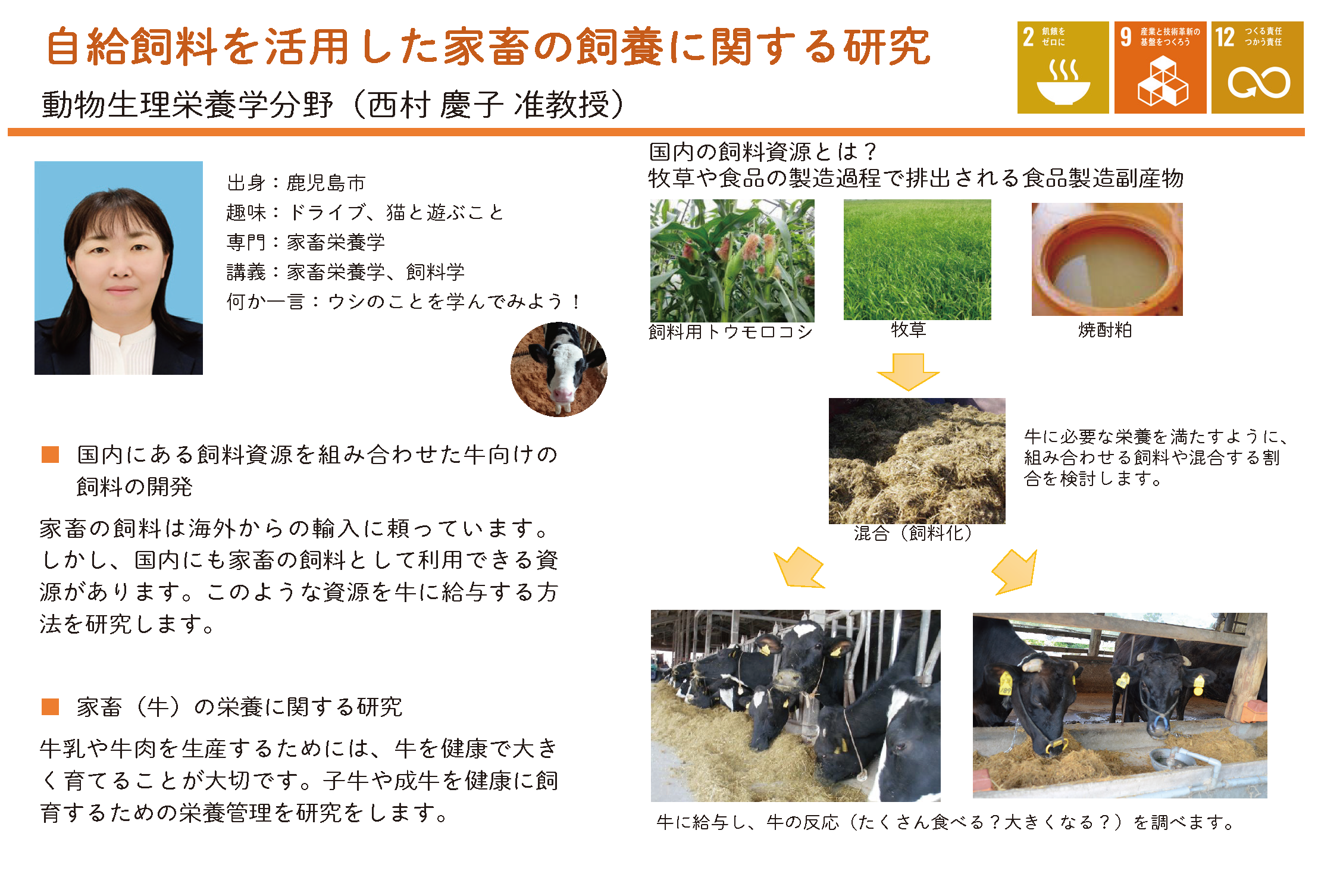 自給飼料を活用した家畜の飼養に関する研究