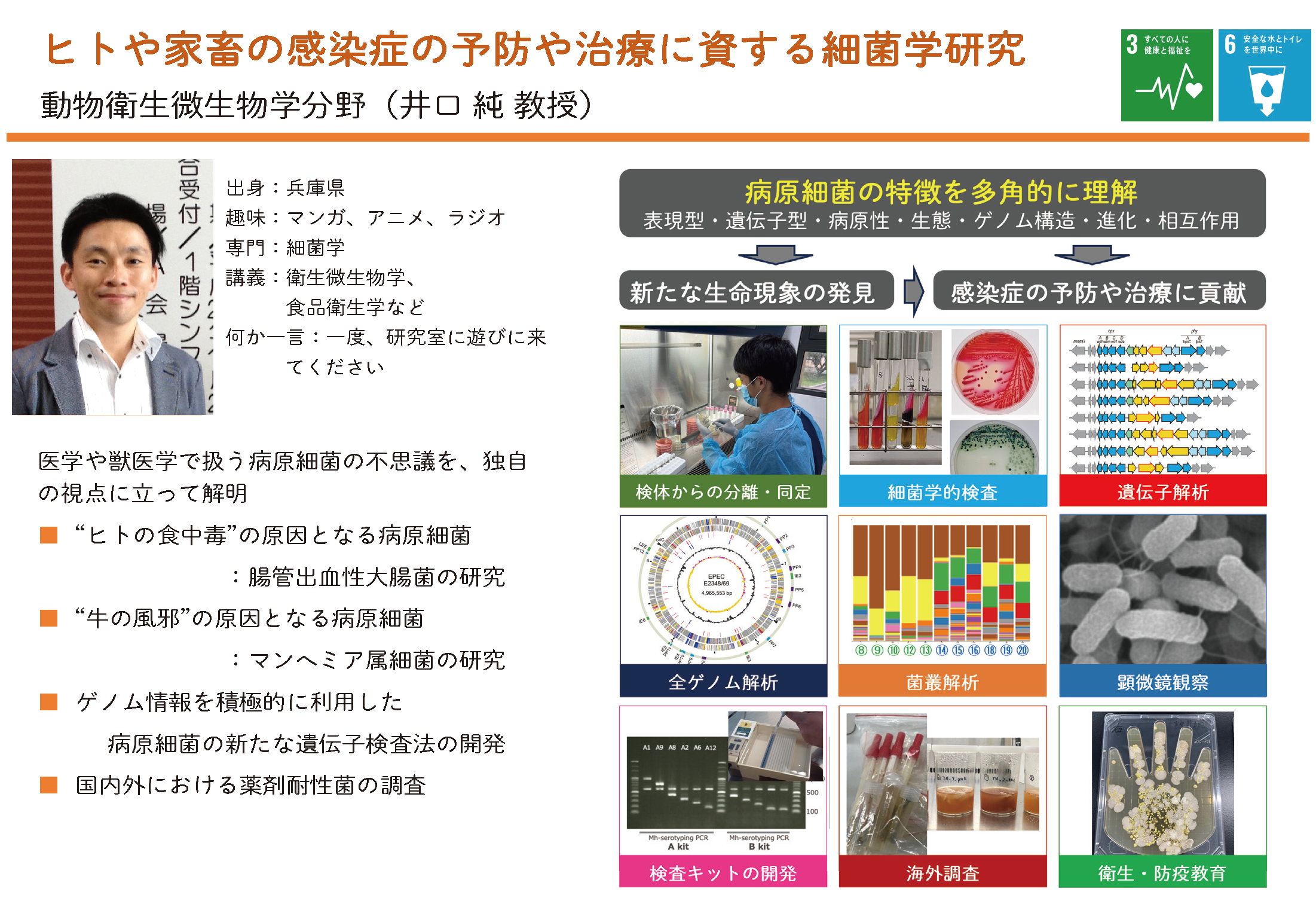 ゲノム情報を使った微生物検査法を開発