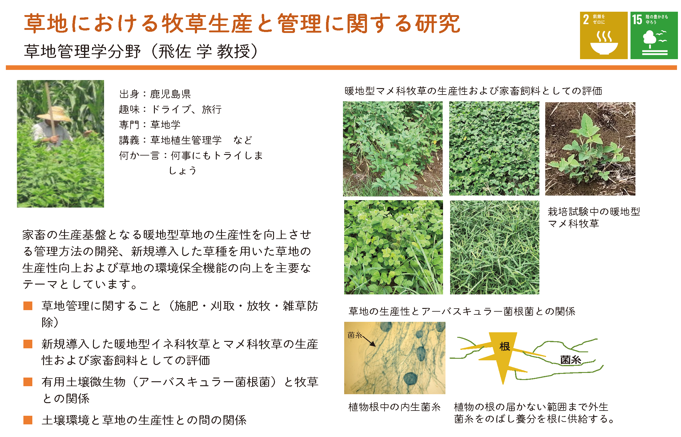草地の生産性向上と肥培管理に関する研究