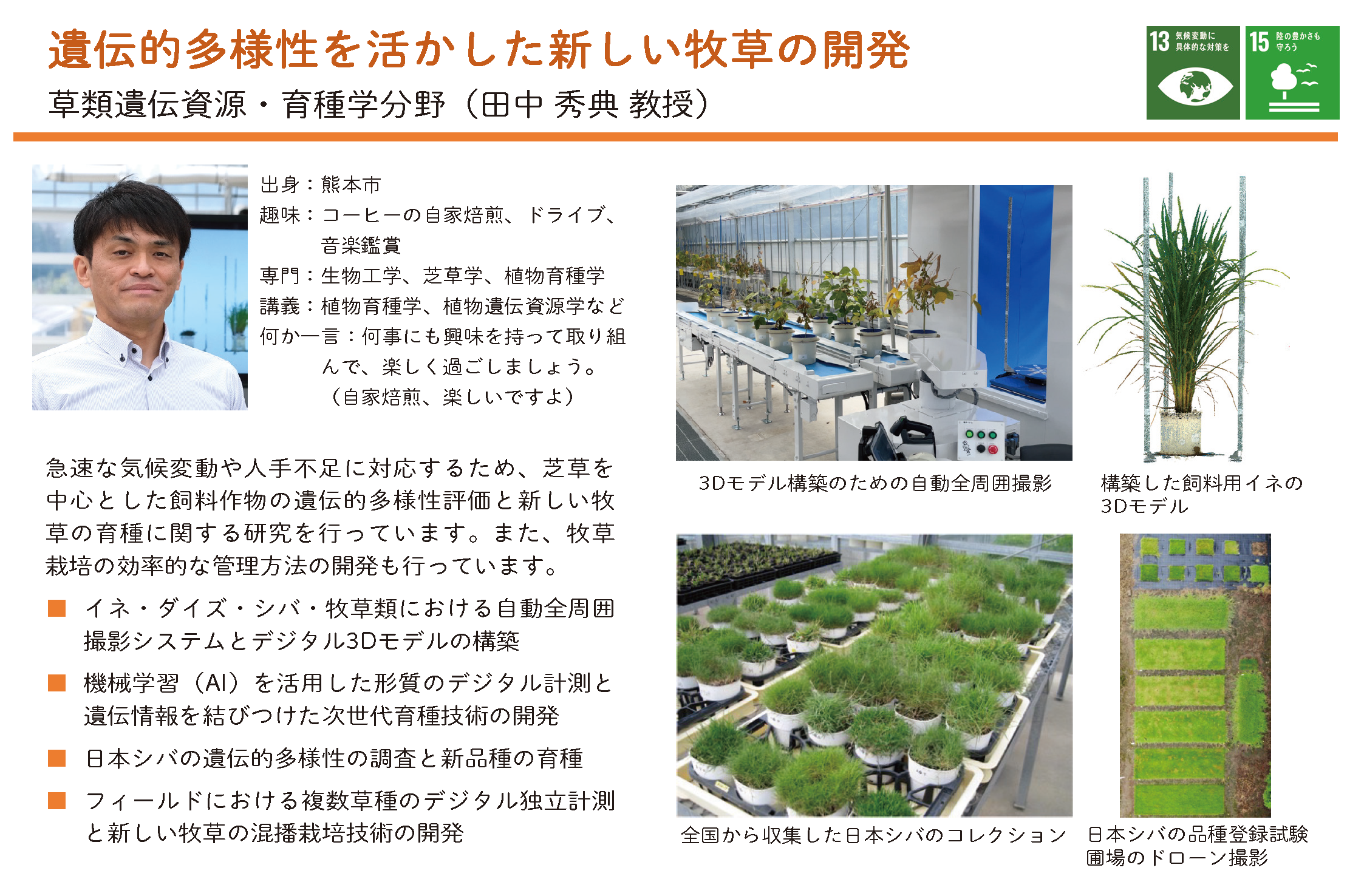 遺伝的多様性を活かした新しい牧草の開発