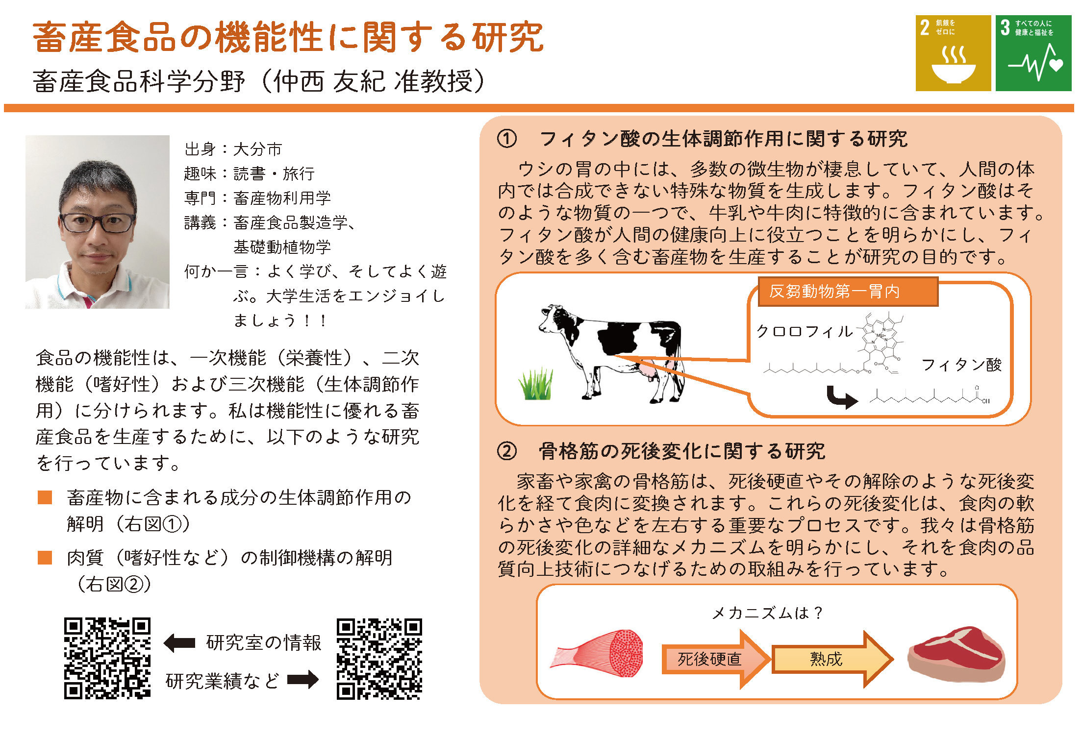 畜産食品の機能性に関する研究